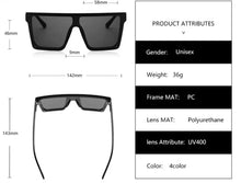 Load image into Gallery viewer, Gina Silver Sunglasses
